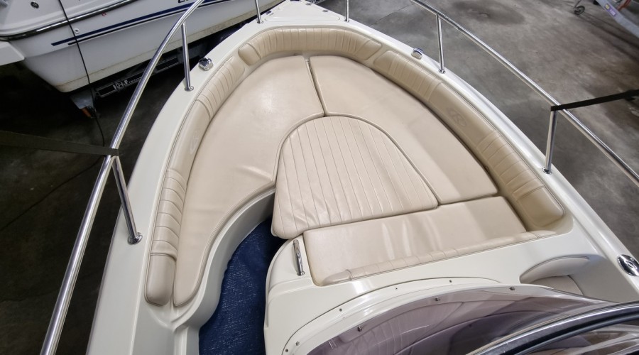 Rancraft RM 19 met ZGAN Suzuki DF175 en trailer (complete refit in 2020)